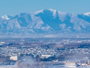 冬の帯広市