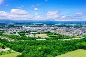芽室町の町並みを空撮