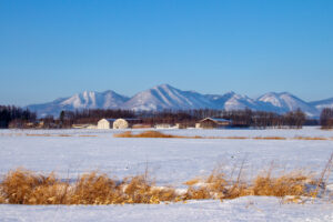 音更町の牧場風景