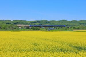 安平町内の風景