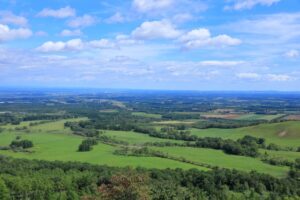 清水町内の風景